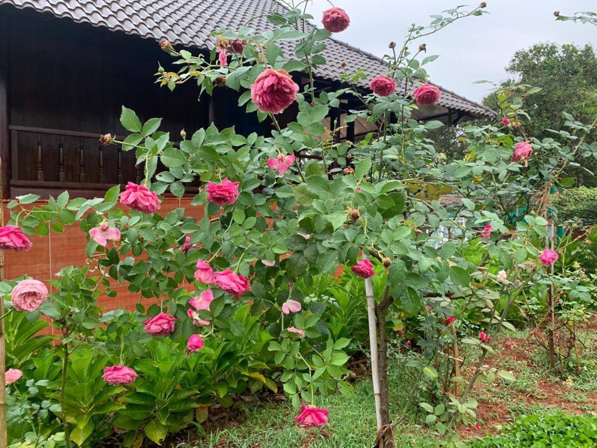 Phuong Nam Gia Trang Farmstay Gia Nghĩa Exteriér fotografie