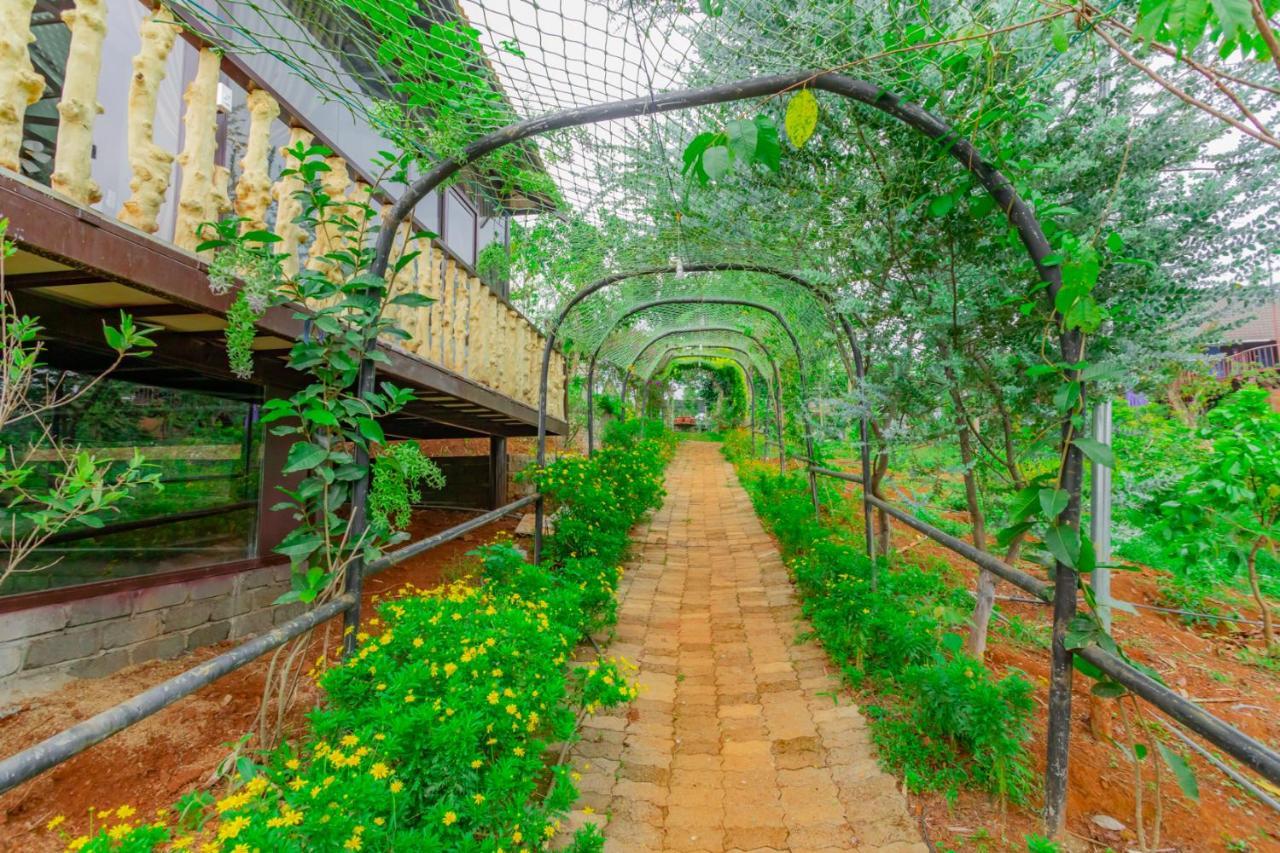 Phuong Nam Gia Trang Farmstay Gia Nghĩa Exteriér fotografie